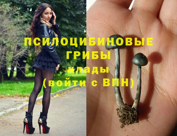 альфа пвп Богородицк