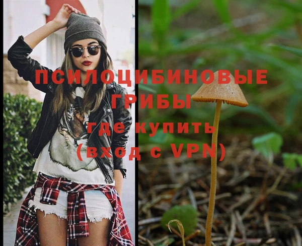 альфа пвп Богданович