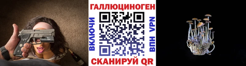 Псилоцибиновые грибы Magic Shrooms  blacksprut как зайти  Городец  купить  