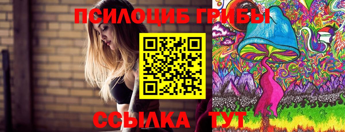 Псилоцибиновые грибы ЛСД Городец