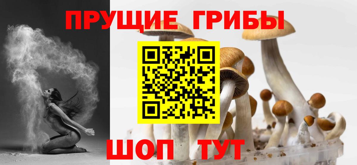 Городец  купить наркотик  Вход с VPN  Псилоцибиновые грибы MAGIC MUSHROOMS 