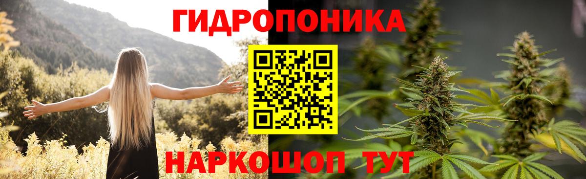 Бошки Шишки SATIVA & INDICA Городец